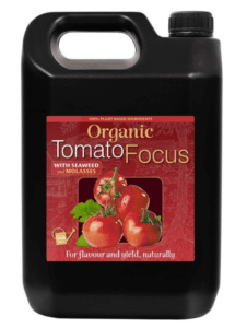 Organic Tomat Focus